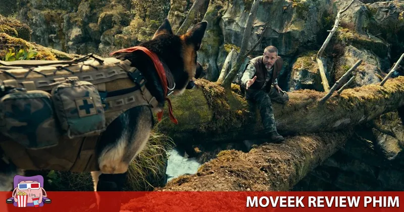 James và Odin là mỏ neo cảm xúc của Trái Phim Quái Thú