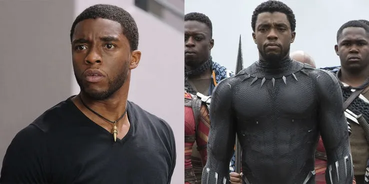 Black Panther có lẽ là vị vua nhọ nhất trong MCU. Phụ vương mất, vừa kế nghiệp thì hết thù trong đến giặc ngoài đe doạ và cuối cùng đang tan biến thành cát bụi. (Nguồn: Screen Rant)