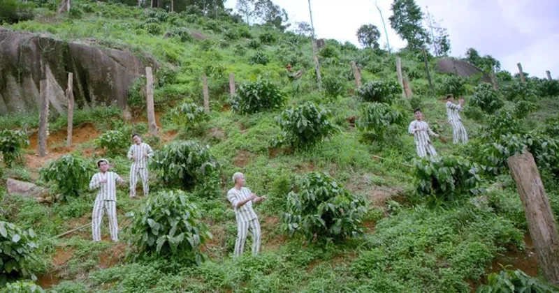 Đội h&igrave;nh m&uacute;a minh hoa c&oacute; một kh&ocirc;ng hai&hellip;
