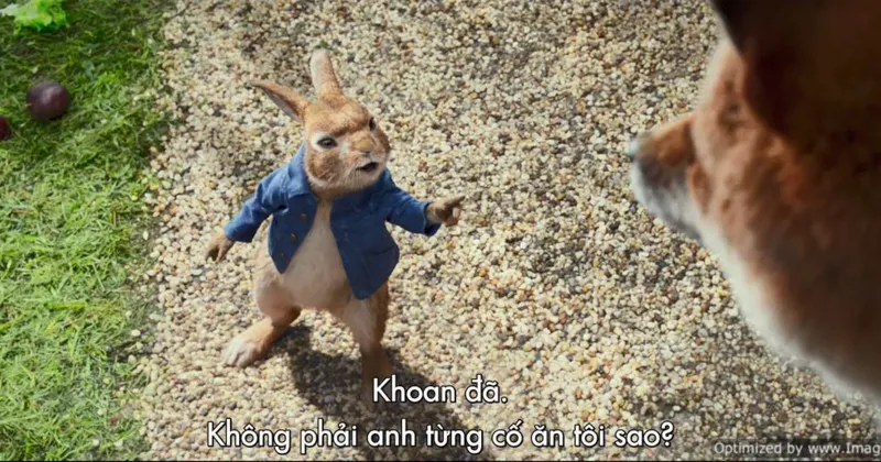 Tạo hình của Peter Rabbit giống hệt nguyên tác.