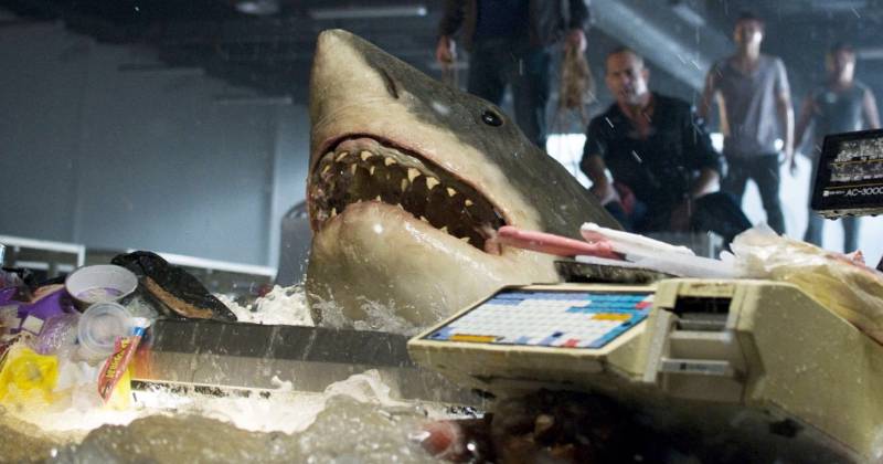 Hình ảnh dễ thương của cá mập bị người ta bôi xấu trên phim rất nhiều. (Bait 2012)
