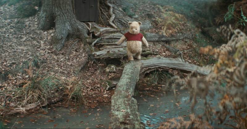Pooh trong khu rừng Hundred Arce Wood (Disney)