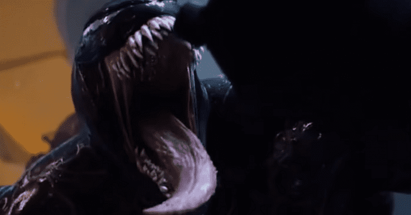 Mối quan hệ giữa Venom và Eddie Brock khá thú vị. (Youtube)