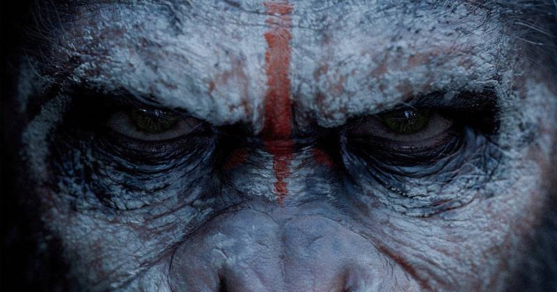 Dawn of the Planet of the Apes được đầu tư kỹ lưỡng hơn phần I và vừa có một màn ra mắt ấn tượng tại các phòng vé.