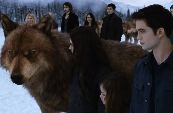 Nhà Cullen đã tập hợp lực lượng ma cà rồng khắp thế giới, cộng với sự giúp đỡ của tộc người sói để chiến đấu chống lại nhà Volturi.