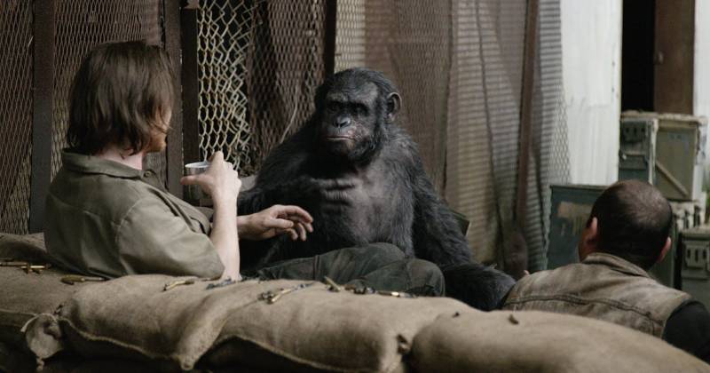 Koba, chú khỉ chỉ học được lòng thù hận cùng những thói xấu từ loài người.