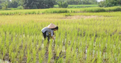 Thân Thuý Hà hiện hình mẹ ghẻ ác độc trong tập 6 Nếu Còn Có Ngày Mai