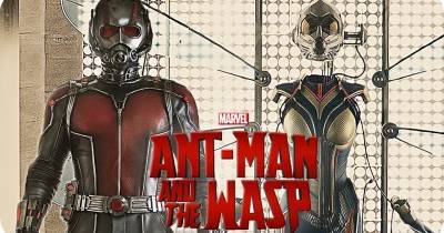 Wasp sẽ trở nên hoàn hảo trong phần tiếp theo của Ant-Man