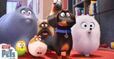 Đẳng Cấp Thú Cưng – Chuyến phiêu lưu thiếu vắng hương vị Pixar