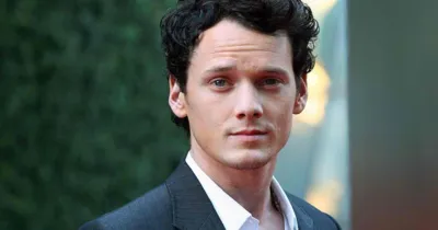 Anton Yelchin qua đời vì tai nạn giao thông