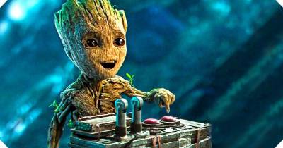 Đạo diễn James Gunn chia sẻ về độ tuổi của Groot trong Avengers: Infinity War