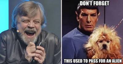 Loạt ảnh meme minh chứng Star Wars là thương hiệu có sức hút hơn Star Trek