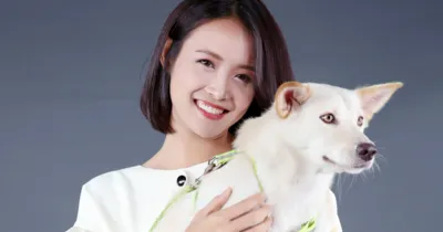 Nếu là “con sen” chính hiệu chắc chắn không thể bỏ qua 6 bộ phim này