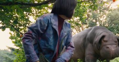 Okja - Đứa con tinh thần của Hàn Quốc và Netflix gặp nguy hiểm ngay chính quê nhà