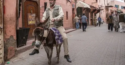 Nicolas Cage săn lùng Osama bin Laden trong phim mới!