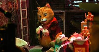 [REVIEW] Siêu Mèo – Thoải mái, hài hước và thân thiện với gia đình