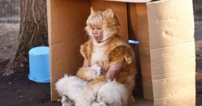 Live action Tora-san tung trailer và poster mới