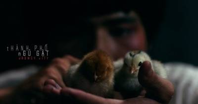 Thành Phố Ngủ Gật của đạo diễn Lương Đình Dũng được giới thiệu tại LHP Tallinn Black Nights