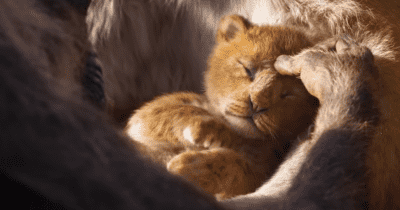 Teaser trailer Lion King của Disney đạt kỷ lục được nhiều lượt xem nhất trong 24h đầu tiên