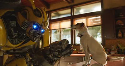 [REVIEW] Bumblebee – Khởi đầu mới ổn thỏa của một thương hiệu lâu năm