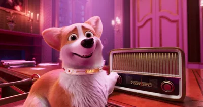 Corgi: Những Chú Chó Hoàng Gia "quậy tưng" cung điện Buckingham trong chuyến thăm của Tổng thống Mỹ