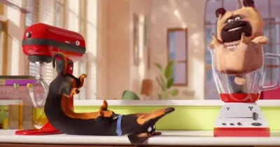 [TRAILER] Đẳng Cấp Thú Cưng 2 – Hưởng thụ chán chê, bầy thú cưng thực hiện chiến dịch giải cứu cậu chủ nhí