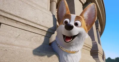 Corgi: Những Chú Chó Hoàng Gia – Khám phá dàn thú cưng sang chảnh