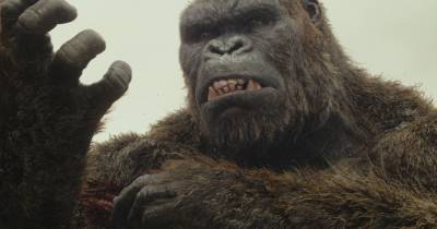 Đây là những gì Kong làm trong suốt sự kiện Chúa Tể Godzilla