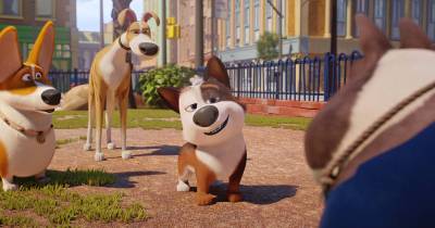 [TRAIELR] Thú Cưng Siêu Quậy - Chuyến phiêu lưu đặc biệt của chú cún mất chủ