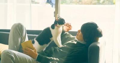 The Travelling Cat Chronicles – Khi những gì bạn cần để hạnh phúc là một chú mèo và chủ của nó