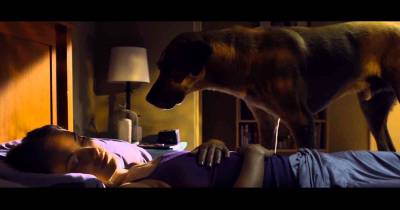 The Lazarus Effect - Hiệu ứng hồi sinh