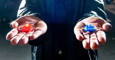 Ma Trận: Hồi Sinh (2021) - 10 Thuật ngữ phải biết trong thương hiệu Ma Trận