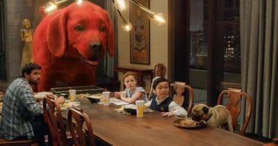 Clifford Chú Chó Đỏ Khổng Lồ (2021) - 3 Lý do người yêu thú không nên bỏ qua bộ phim này