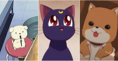 [Xếp Hạng] 10 thú cưng cực đáng yêu trong anime