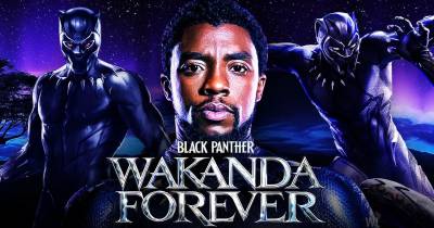 Black Panther: Wakanda Forever - Marvel đáng lẽ phải recast T'Challa ngay từ đầu!