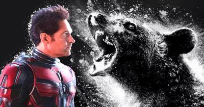 Người Kiến Và Chiến Binh Ong: Thế Giới Lượng Tử hụt hơi ở phòng vé