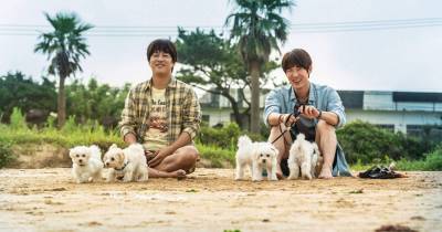 Tìm Nhà Cho Boss và loạt phim sâu lắng về chú chó cưng