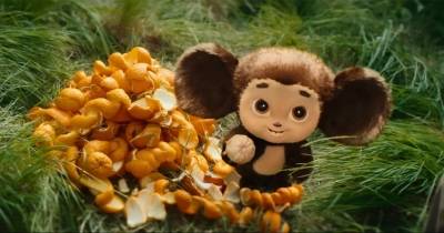 Chebi: Gấu Tai To Đáng Yêu - Bộ phim live-action đầu tiên về chú gấu tai to Chebi