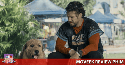 Review Arthur: Chú Chó Kiên Cường - Bộ phim chữa lành về câu chuyện giữa 'sen' và 'boss'