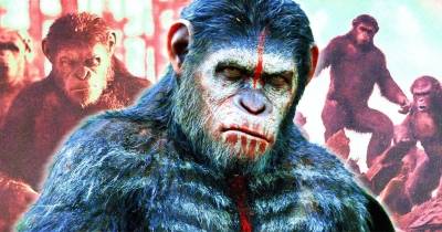 Tại sao nói Hành Tinh Khỉ là một thương hiệu điện ảnh hoàn hảo?