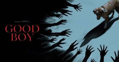 Good Boy: Chó Cưng Đừng Sợ - Bộ phim kinh dị bạn phải xem tuần này