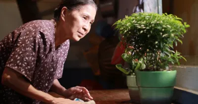[Review] Có Căn Nhà Nằm Nghe Nắng Mưa – Thừa sức bóp nghẹn những con tim rắn rỏi nhất
