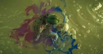 Phòng vé tuần qua - Suicide Squad đi vào vết xe đổ của Batman v Superman?