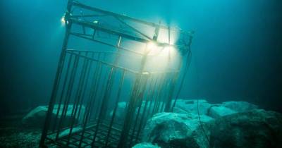 47 Meters Down - Quá nhạt nhẽo