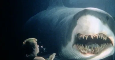 Deep Blue Sea 2 đang được triển khai