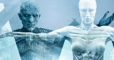 Xác nhận sự vắng mặt đáng tiếc của Game of Thrones và Westworld tại SDCC năm nay