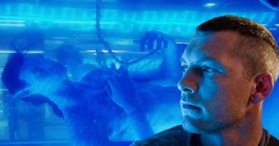 Bật mí thêm về 4 phần phim tiếp theo của Avatar có lịch ra mắt từ 2020 đến 2025