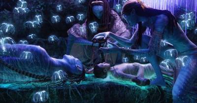 Avatar 2 chính thức khởi động vào 2013