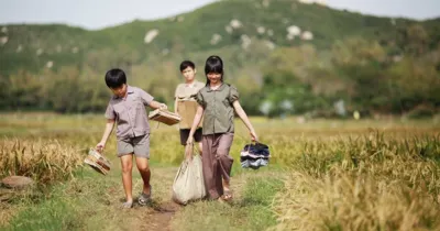 Tôi Thấy Hoa Vàng Trên Cỏ Xanh – những mảng tuổi thơ trong trẻo