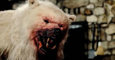 Gấu Đột Biến, khi loài vật phải tiến hóa chống lại con người